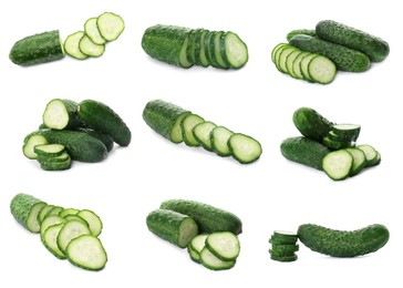 Set with whole and cut ripe cucumbers on white background