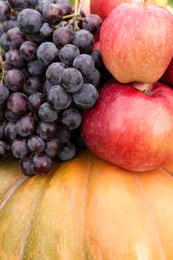 Ripe pumpkin, grapes and apples as background, closeup Autumn harvest