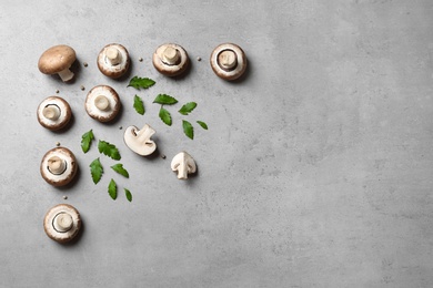 Flat lay composition with fresh champignon mushrooms on grey background, space for text