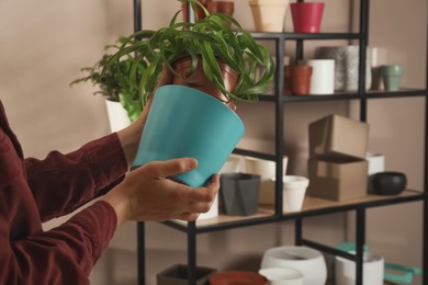 Photo of Woman putting houseplant into new pot indoors, closeup