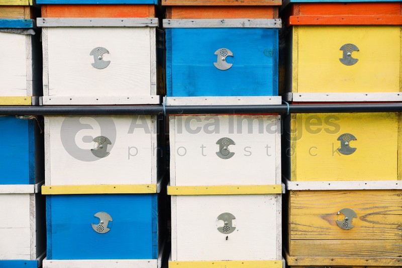 Photo of Many colorful bee hives at apiary, closeup