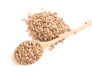 Wooden spoon with wheat grains on white background, top view