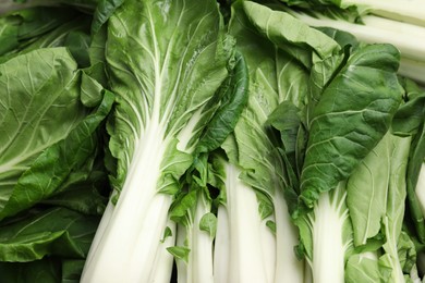 Fresh green pak choy cabbages as background, top view