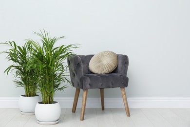 Exotic house plants with comfortable armchair in room interior