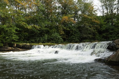 Picturesque view on mountain river with rapids near forest
