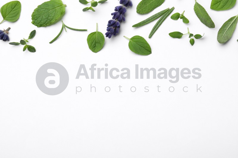 Many different aromatic herbs on white background, flat lay. Space for text