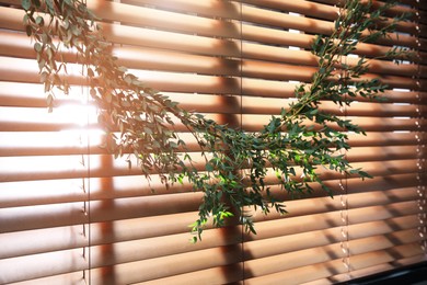 Beautiful garland made of eucalyptus branches hanging on window blinds indoors