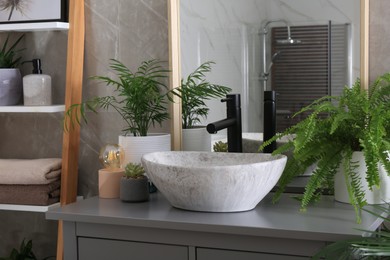 Modern bathroom interior with stylish vessel sink and beautiful green houseplants