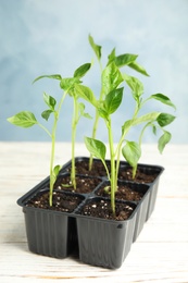 Photo of Vegetable seedlings in plastic tray on wooden table against blue background