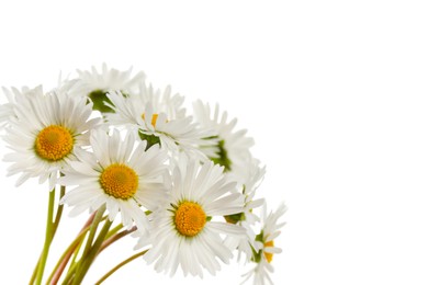 Bunch of beautiful daisy flowers on white background