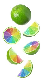 Fresh limes with rainbow segments falling on white background. Brighten your life