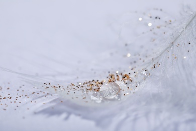 Closeup view of beautiful feather with dew drops and glitter on white background