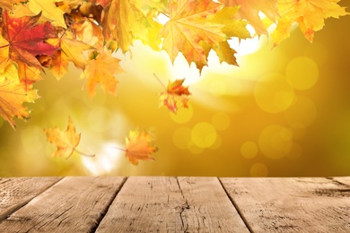Image of Empty wooden surface and beautiful autumn leaves on blurred background
