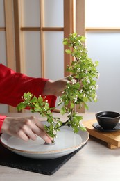 Photo of Stylish ikebana as house decor. Woman creating floral composition with fresh branch at white table, closeup