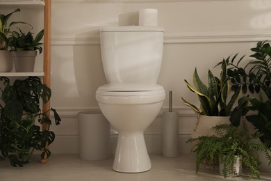 Photo of White toilet bowl and green houseplants in restroom