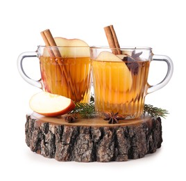 Hot mulled cider, ingredients and fir branches on white background