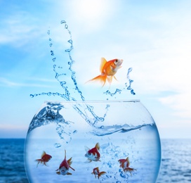 Goldfish jumping out of water and beautiful seascape on background 