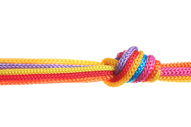Colorful ropes tied together with knot isolated on white. Unity concept