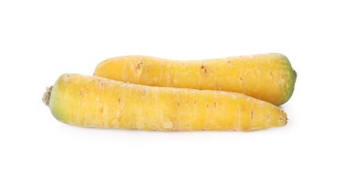 Fresh raw yellow carrots isolated on white
