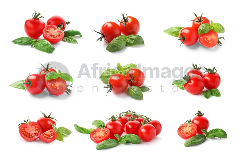 Set of ripe red tomatoes and green basil leaves on white background