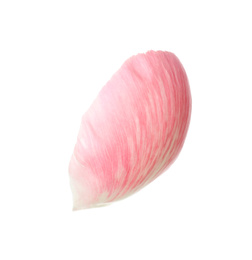 Beautiful pink peony petal isolated on white