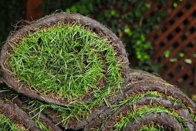 Closeup view of grass sod rolls on backyard