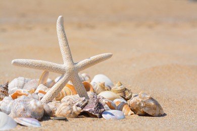 Beautiful starfish and sea shells on sand, closeup