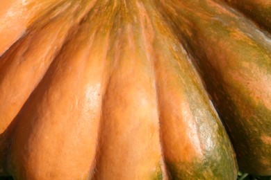 Ripe pumpkin as background, closeup. Autumn harvest