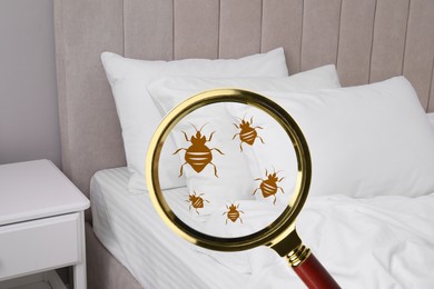 Magnifying glass detecting bed bugs in bedroom, closeup view