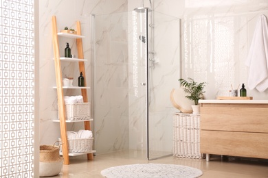 Modern bathroom interior with decorative ladder and shower stall