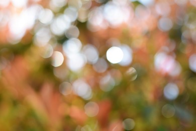 Blurred view of abstract colorful background. Bokeh effect