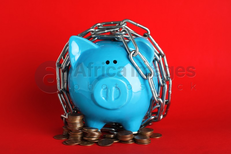 Piggy bank  with steel chain and coins on red background. Money safety concept