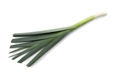 Fresh raw leek isolated on white, top view