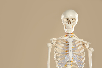 Artificial human skeleton model on beige background. Space for text