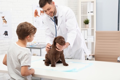 Boy with his pet visiting veterinarian in clinic. Doc examining puppy