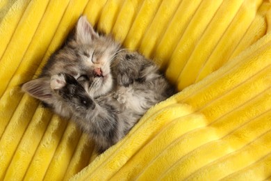 Cute kitten sleeping in soft yellow blanket, above view