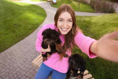 Young woman taking selfie with adorable Brussels Griffon dogs outdoors