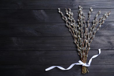 Beautiful bouquet of pussy willow branches on black wooden background, top view. Space for text