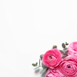 Beautiful ranunculus flowers on white background, top view
