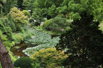 Photo of Beautiful garden with green trees and pond