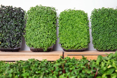 Fresh organic microgreens assortment near wooden crate, closeup