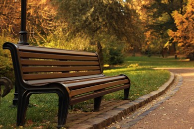 Wooden bench and yellowed trees in park on sunny day