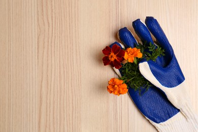 Photo of Gardening gloves with beautiful marigold flowers on wooden table, top view. Space for text