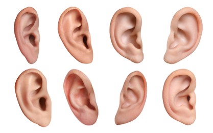 Image of Human ears on white background, collage. Organ of hearing and balance
