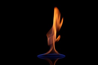 Beautiful view of flaming vodka on black background
