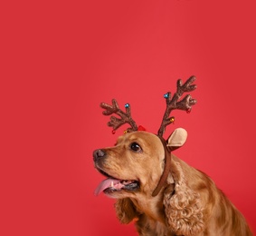 Adorable Cocker Spaniel dog in reindeer headband on red background, space for text