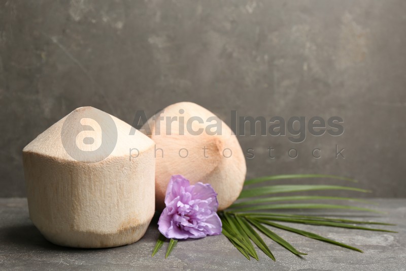 Young peeled coconuts with palm leaf and beautiful flower on grey table. Space for text