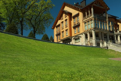 Photo of Beautiful view of fresh green grass growing near house outdoors