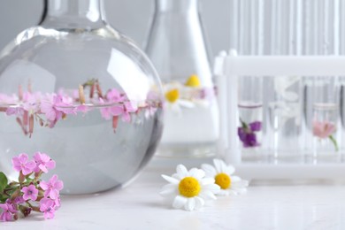 Laboratory glassware with flowers on white wooden table, closeup. Extracting essential oil for perfumery and cosmetics