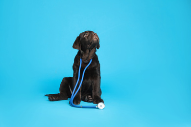 Photo of Cute Labrador dog with stethoscope as veterinarian on light blue background. Space for text